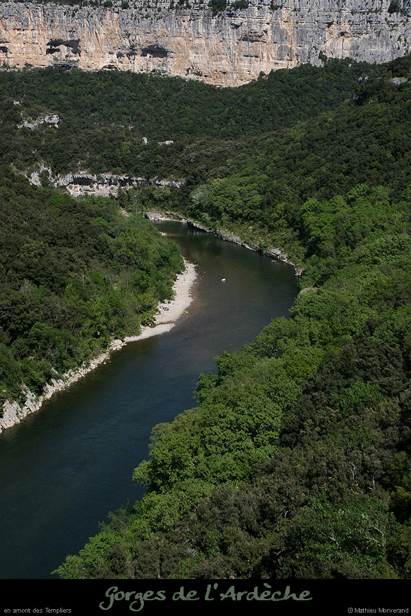 20100427_amtempliers5