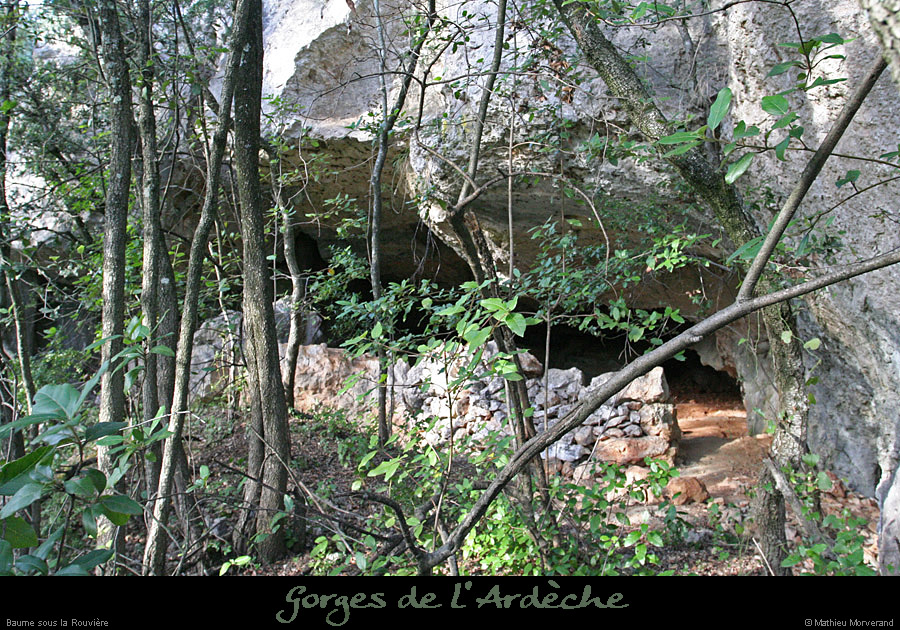 20081004_baumesousbelvrouviere1