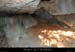20081004_baumesousbelvrouviere3