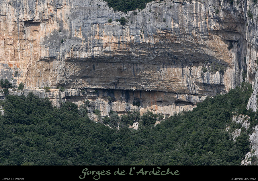 20080831_combe_mounier1