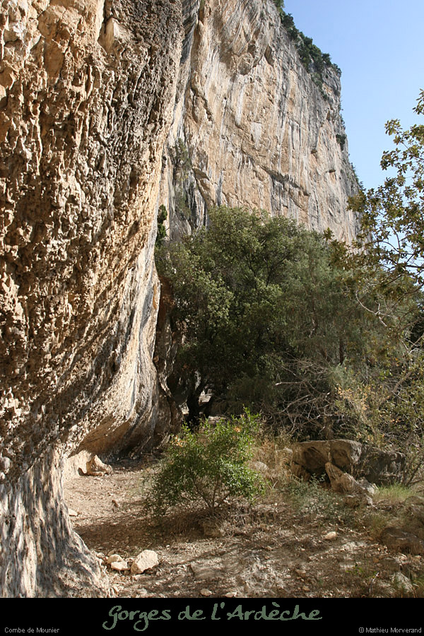 20080920_combemounier_d1