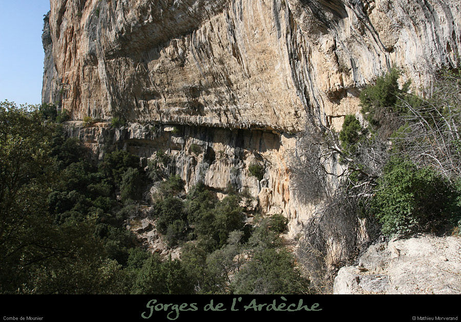 20080920_combemounier_e5