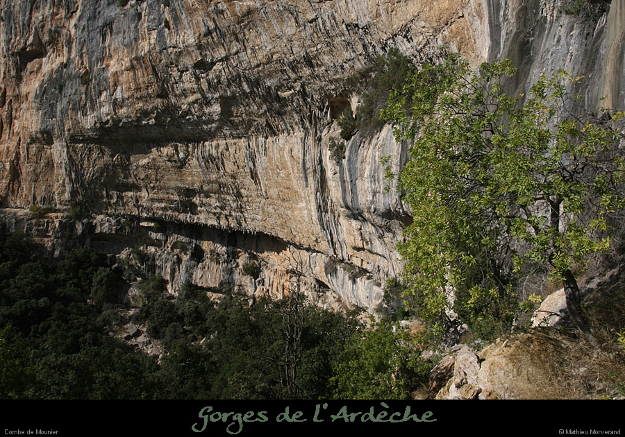 20080920_combemounier_e6