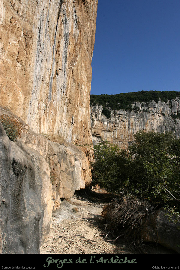 20080920_mounierw4