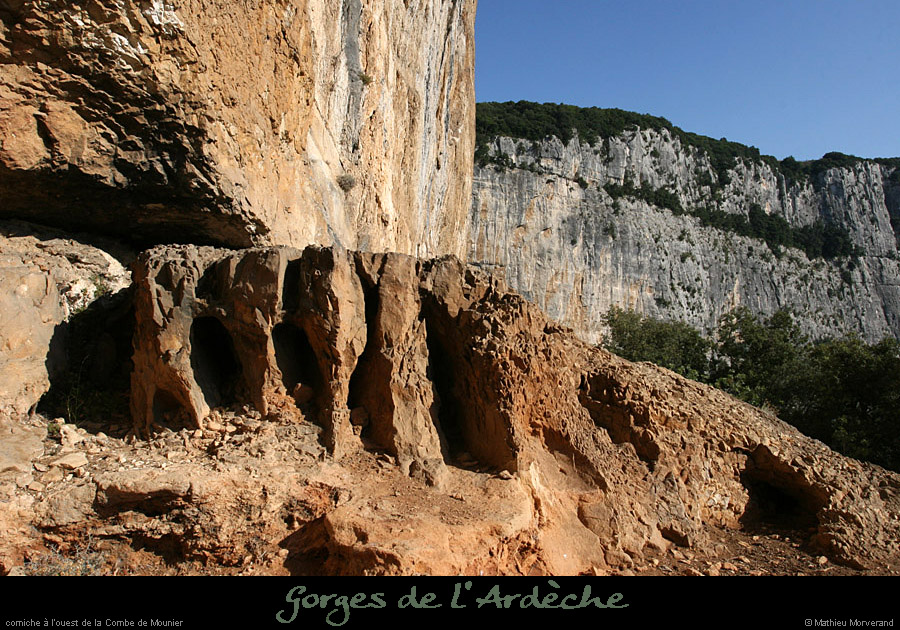 20080920_mounierw6