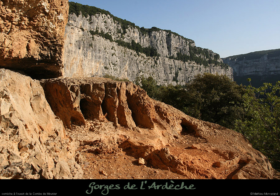 20080920_mounierw7
