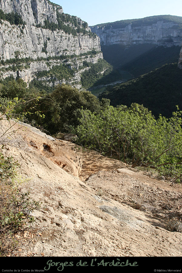 20080920_mounierw9
