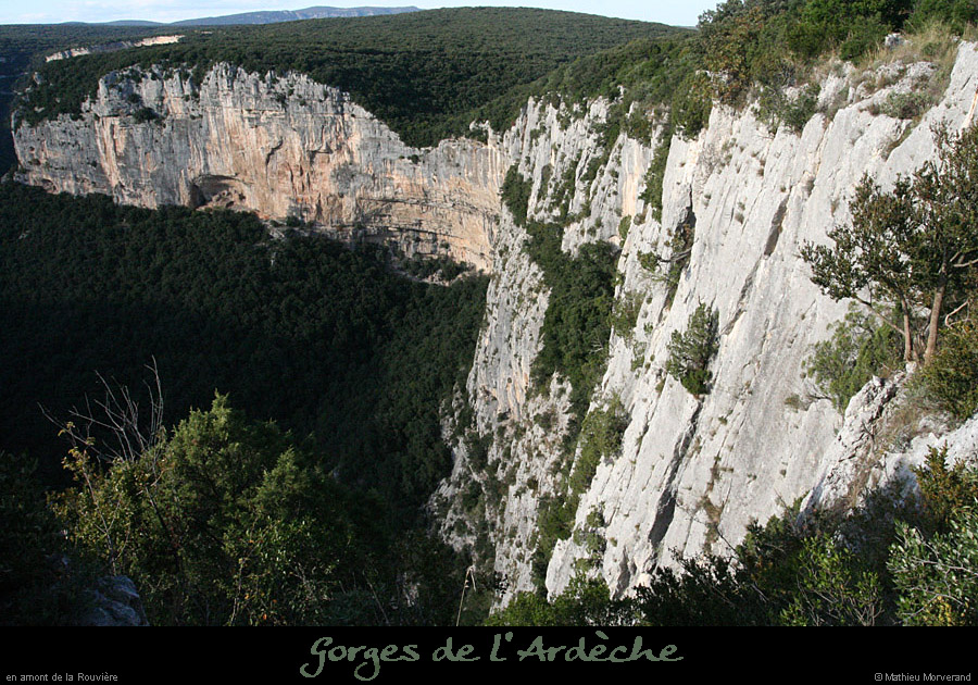 20081004_amrouviere4