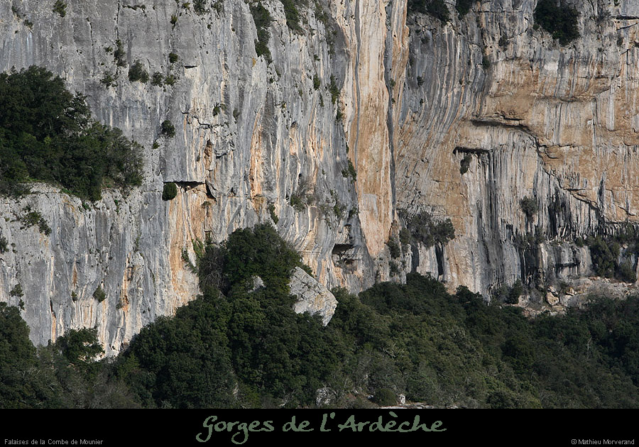 20100328_falaisecombemounier2