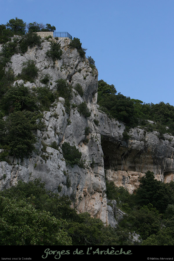 20080608_baumessscoutelle1