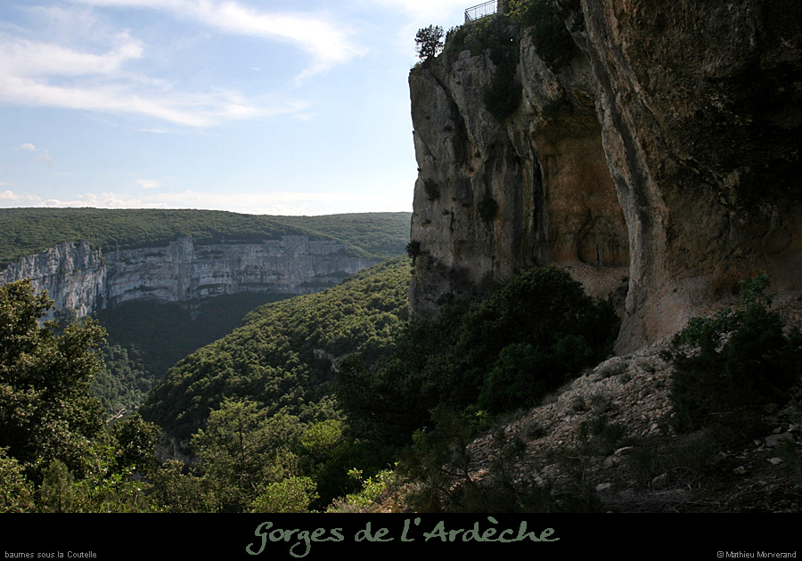 20080608_baumessscoutelle2
