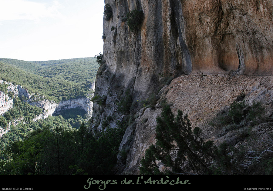 20080608_baumessscoutelle4
