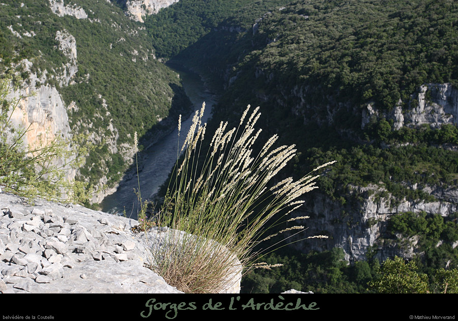 20080608_belvcoutelle6