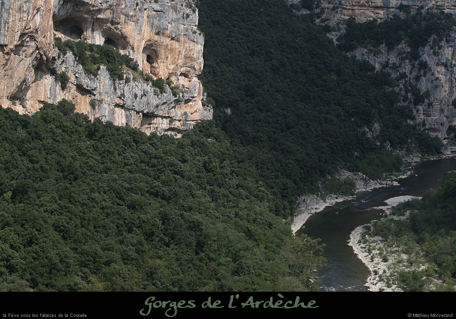 20080831_feve_sscoutelle