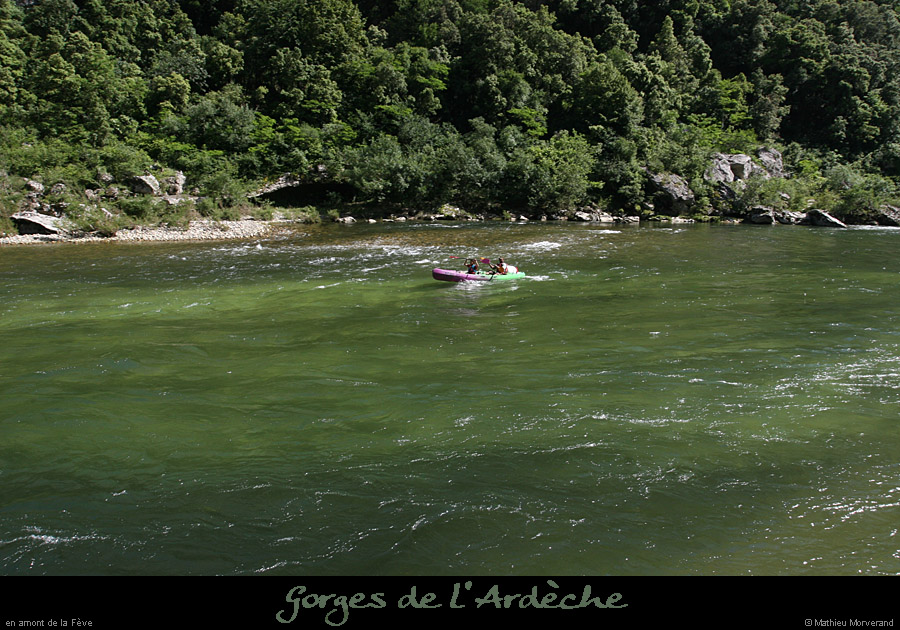 20080608_feveam02