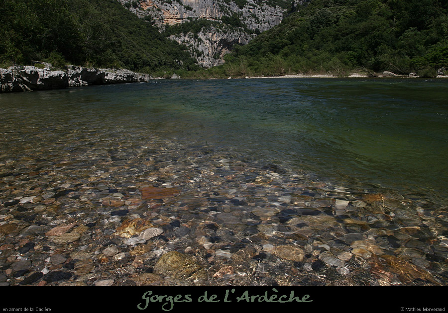 20080608_feveam07