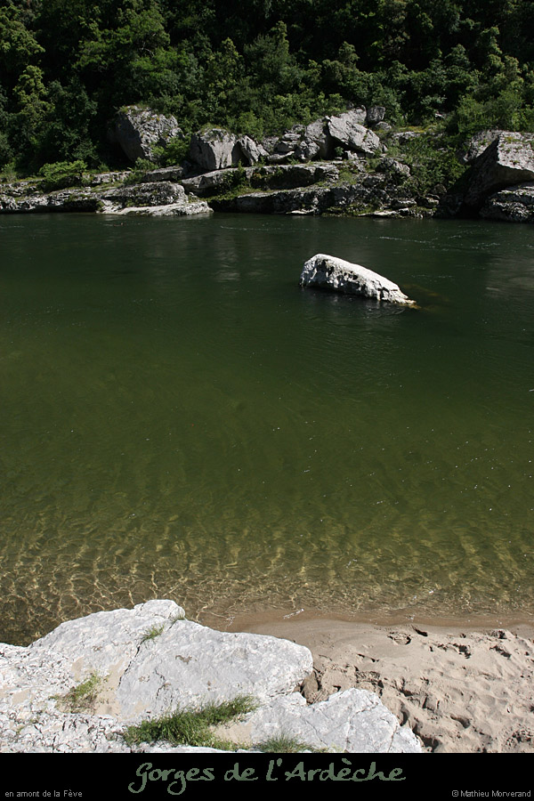 20080608_feveam11