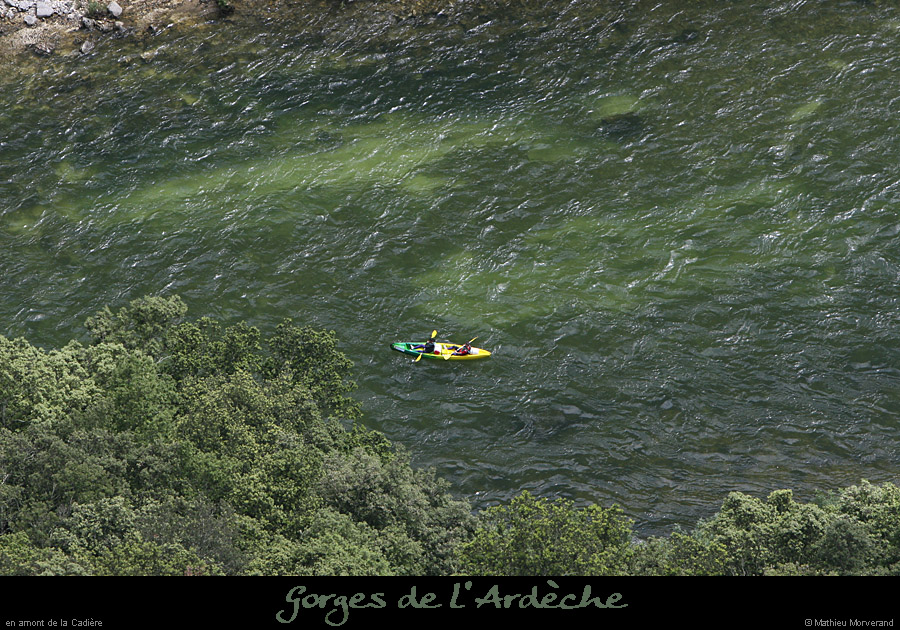 20080608_feveaval1