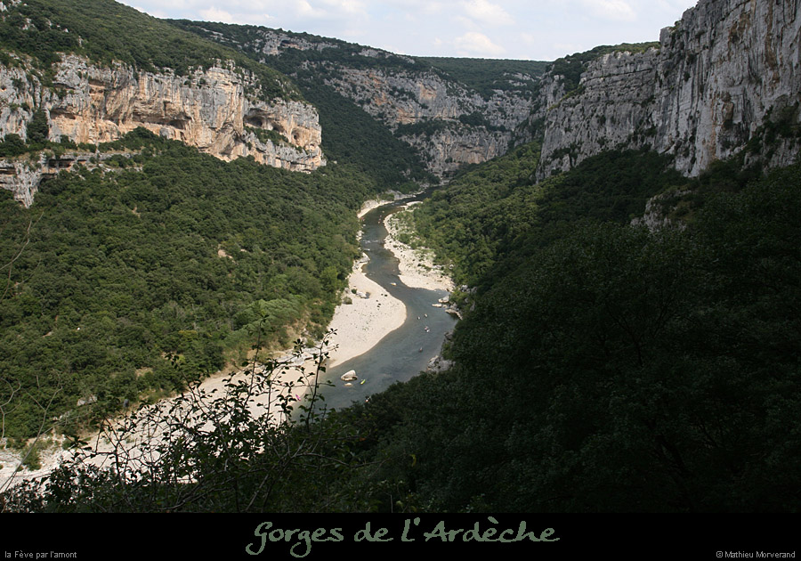 20080831_amont_feve1