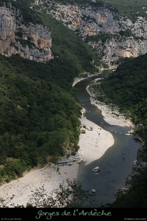 20080831_amont_feve2