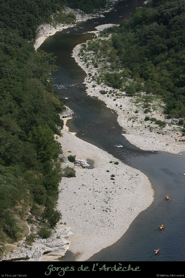 20080831_rapide_feve