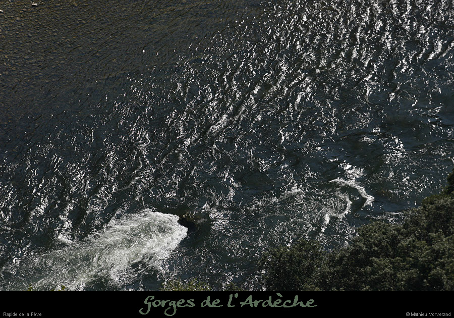 20080927_rapidefeve10