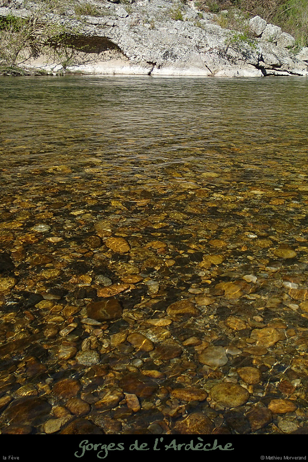 20150412_238
