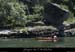 20080608_feveam01