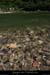 20080608_feveam09