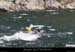 20080608_feverapide03