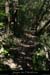 20080608_sentierrusses