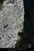 20080927_rapidefeve01