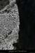 20080927_rapidefeve03