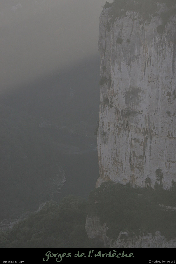 20061224_garn2