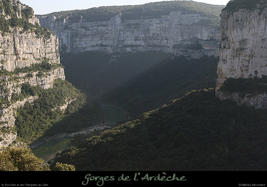 20080920_rouvieream1