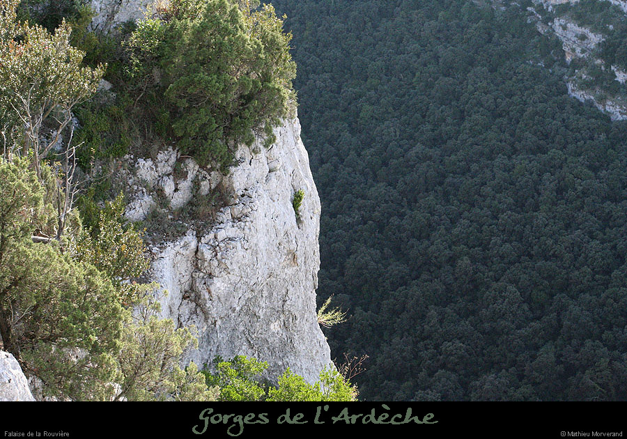 20081004_falaiserouviere2