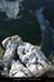 20081004_belvrouviere1