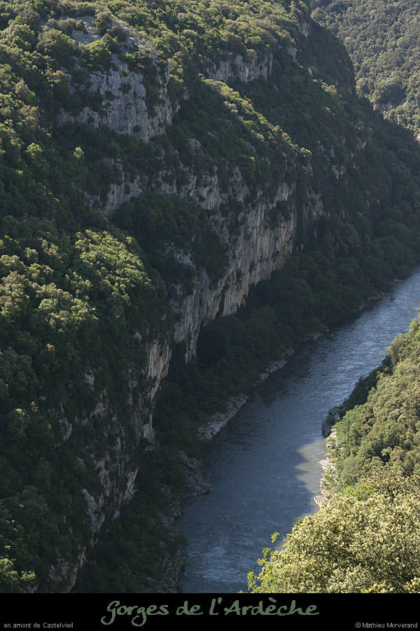 20080518_castelvieilam1