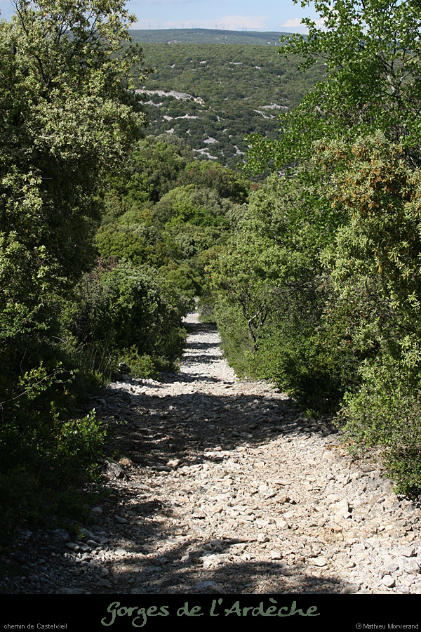 20080518_castelvieilchemin2