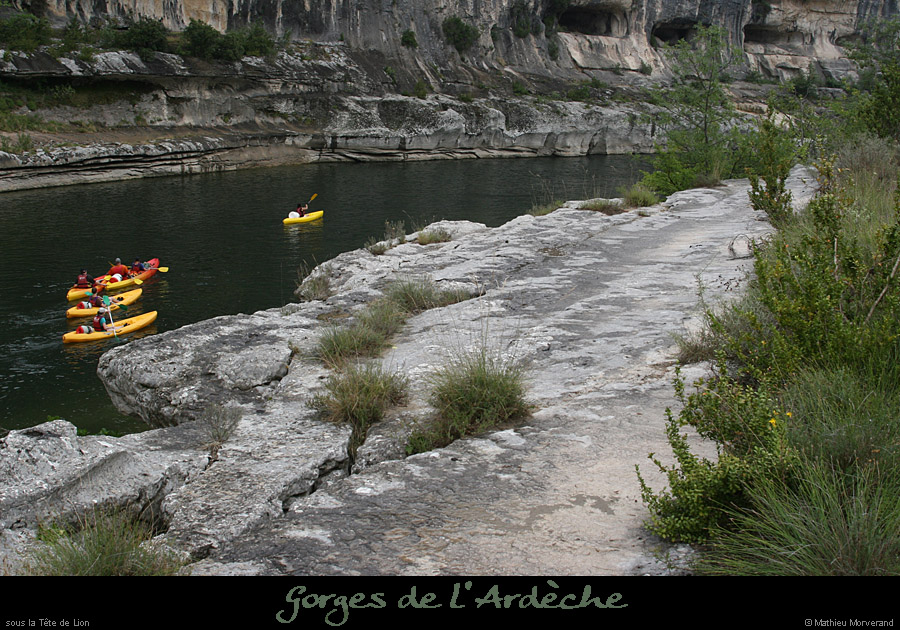 20080720_63