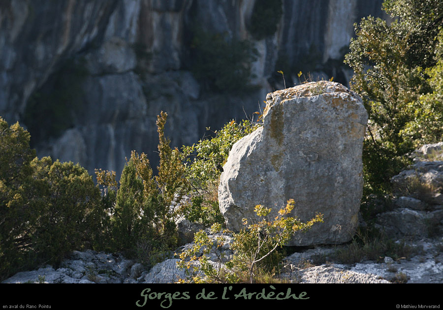 20080927_meandrechabot1