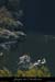 20080927_meandrechabot4