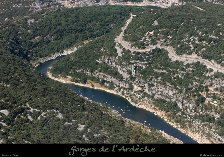 20100815_sauze_figuier1