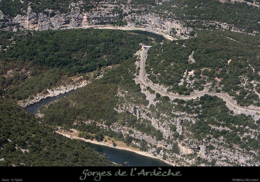 20100815_sauze_figuier2