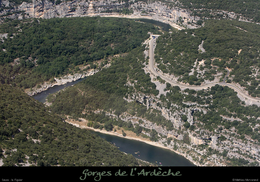 20100815_sauze_figuier3