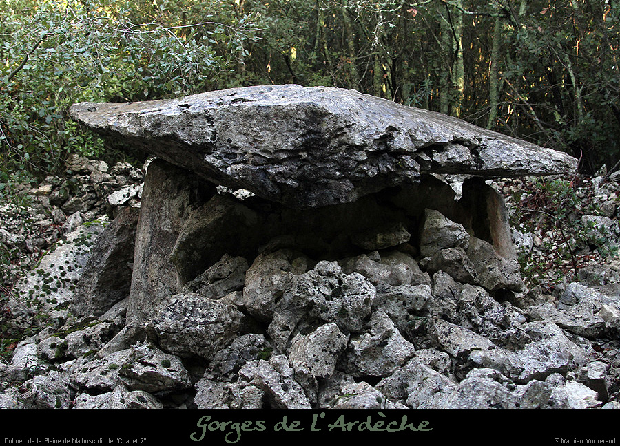 20151230_dolmenchanet2malbosc04