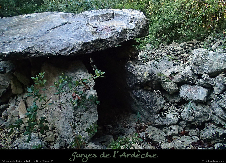 20151230_dolmenchanet2malbosc06