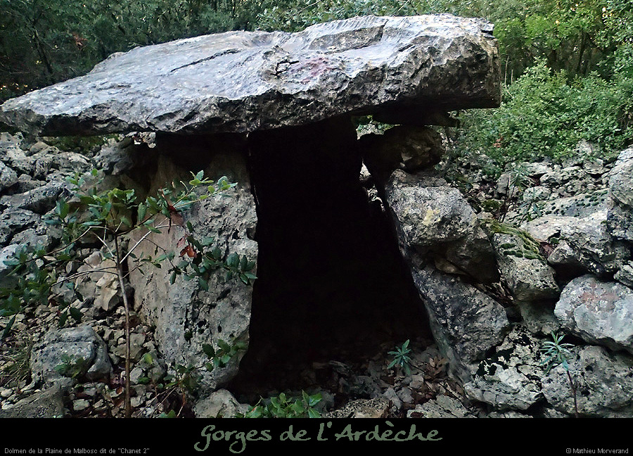 20151230_dolmenchanet2malbosc07