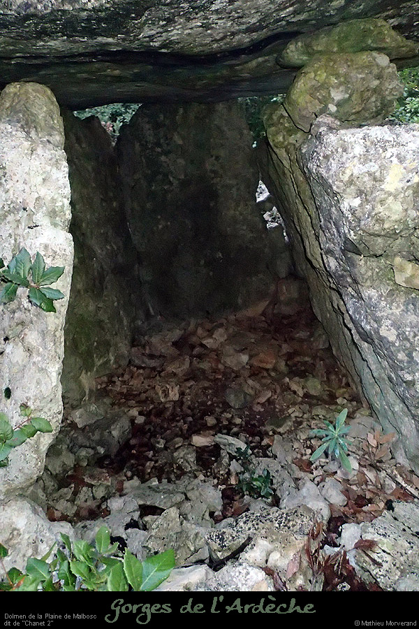 20151230_dolmenchanet2malbosc08