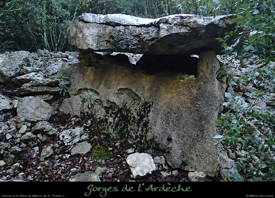 20151230_dolmenchanet2malbosc10
